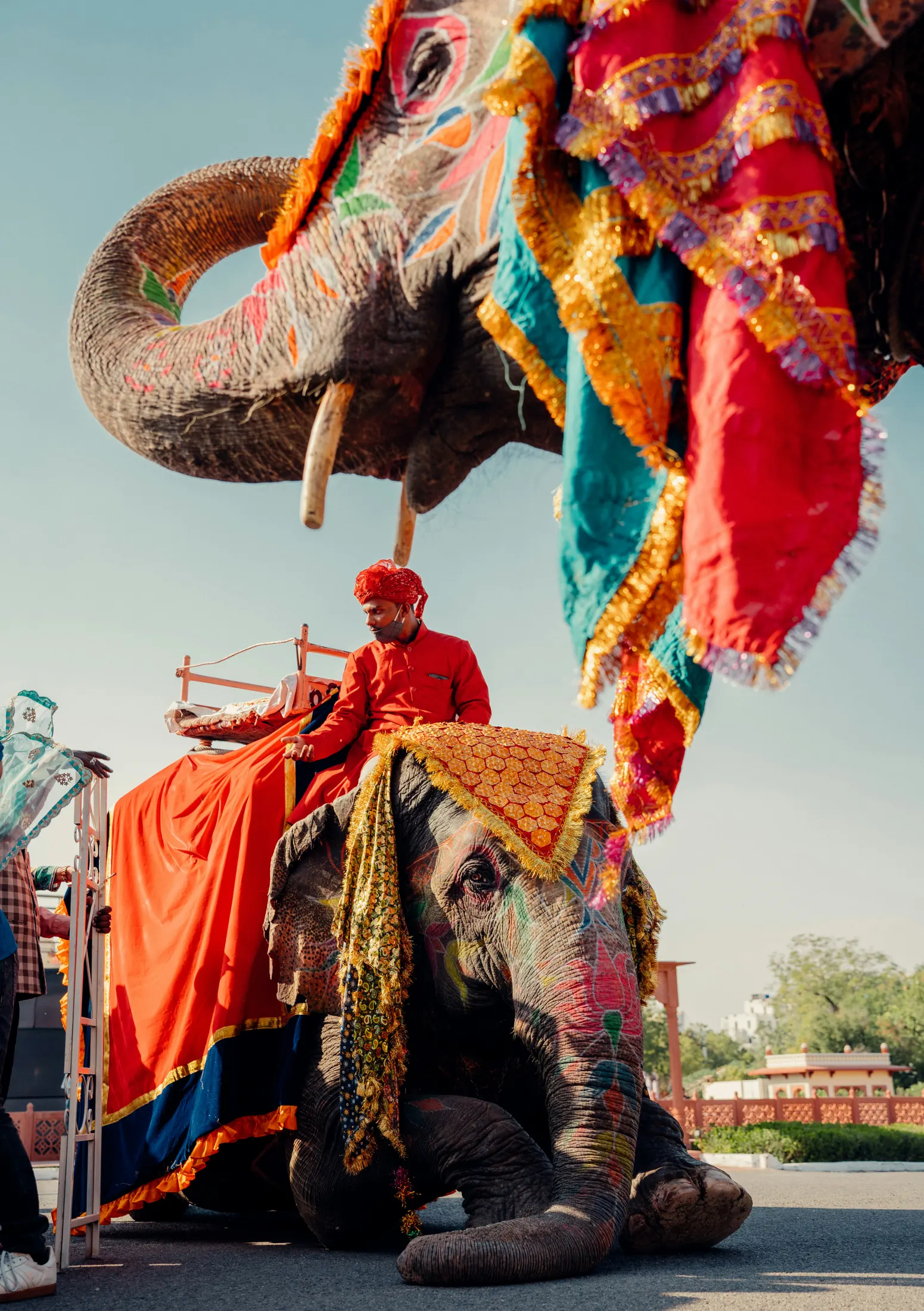 Rajasthan Itinerary for 10 Days in 2026 | Ultimate Rajasthan Trip Plan