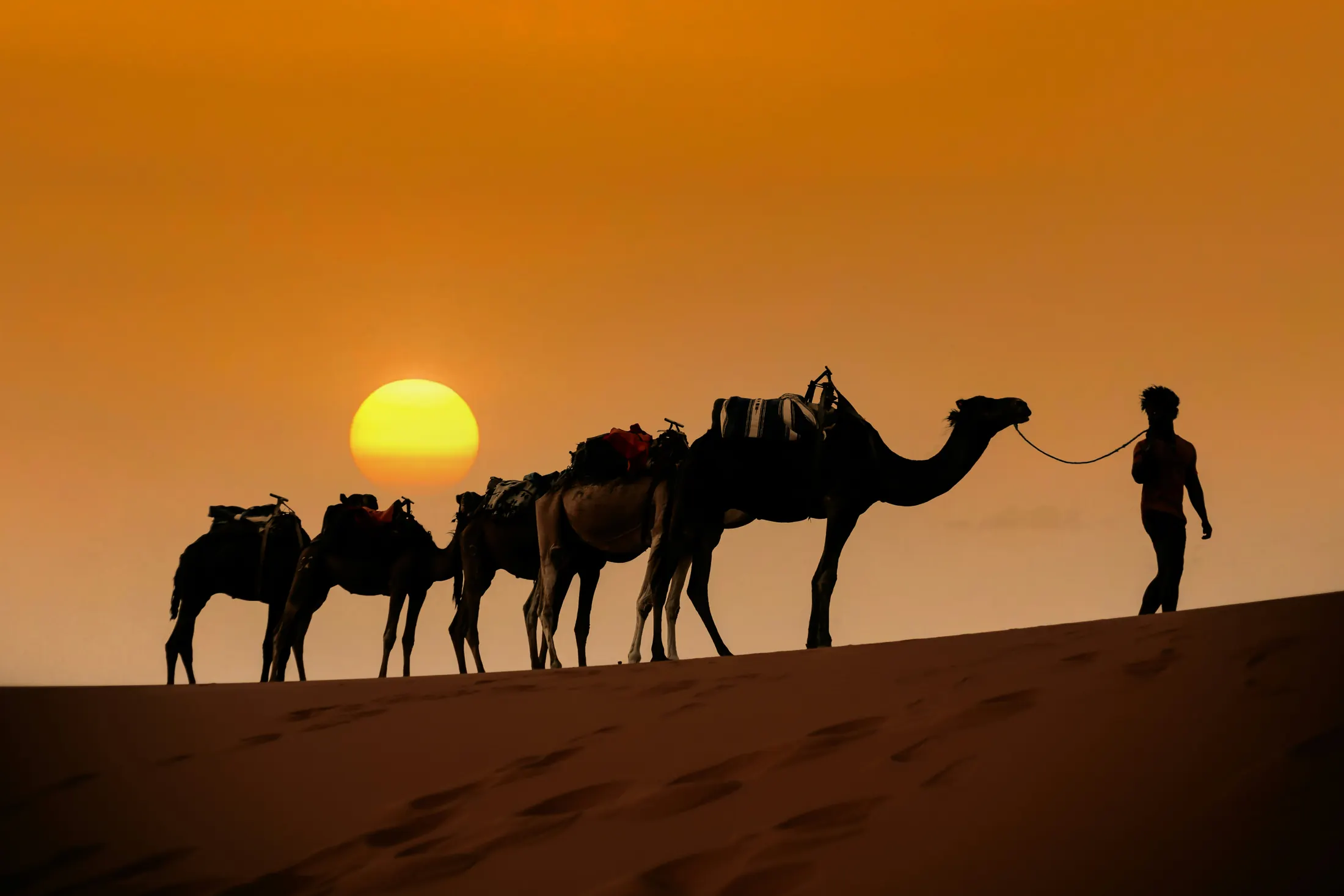 Luxury Rajasthan Honeymoon 12 Days (11N/12D)