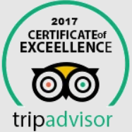 2017 Award